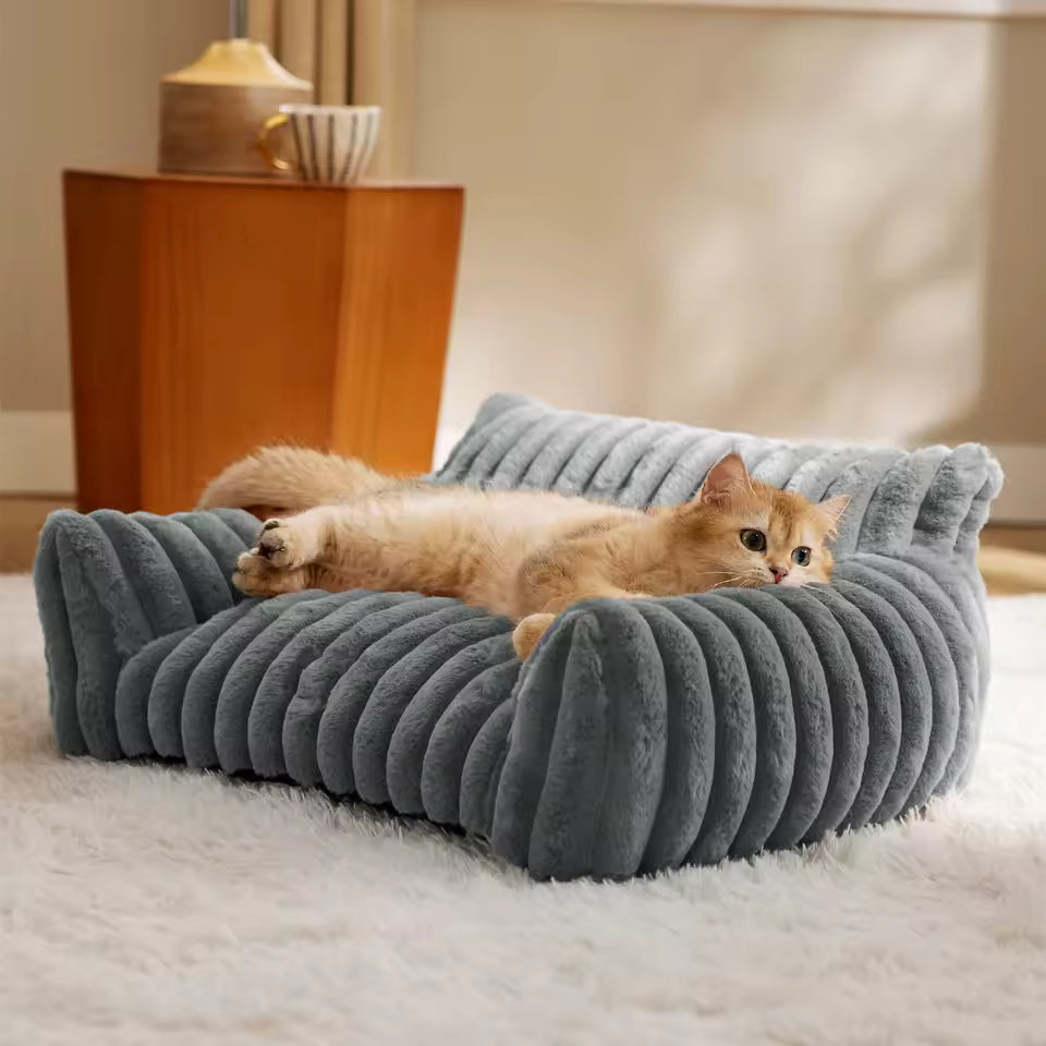 Cat beds & Furniture
