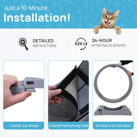 Gadvera™ Cat Treadmill – 31.5" Indoor Cat Exercise Wheel with Carpeted Runway | Fitness & Health Running Wheel for Cats