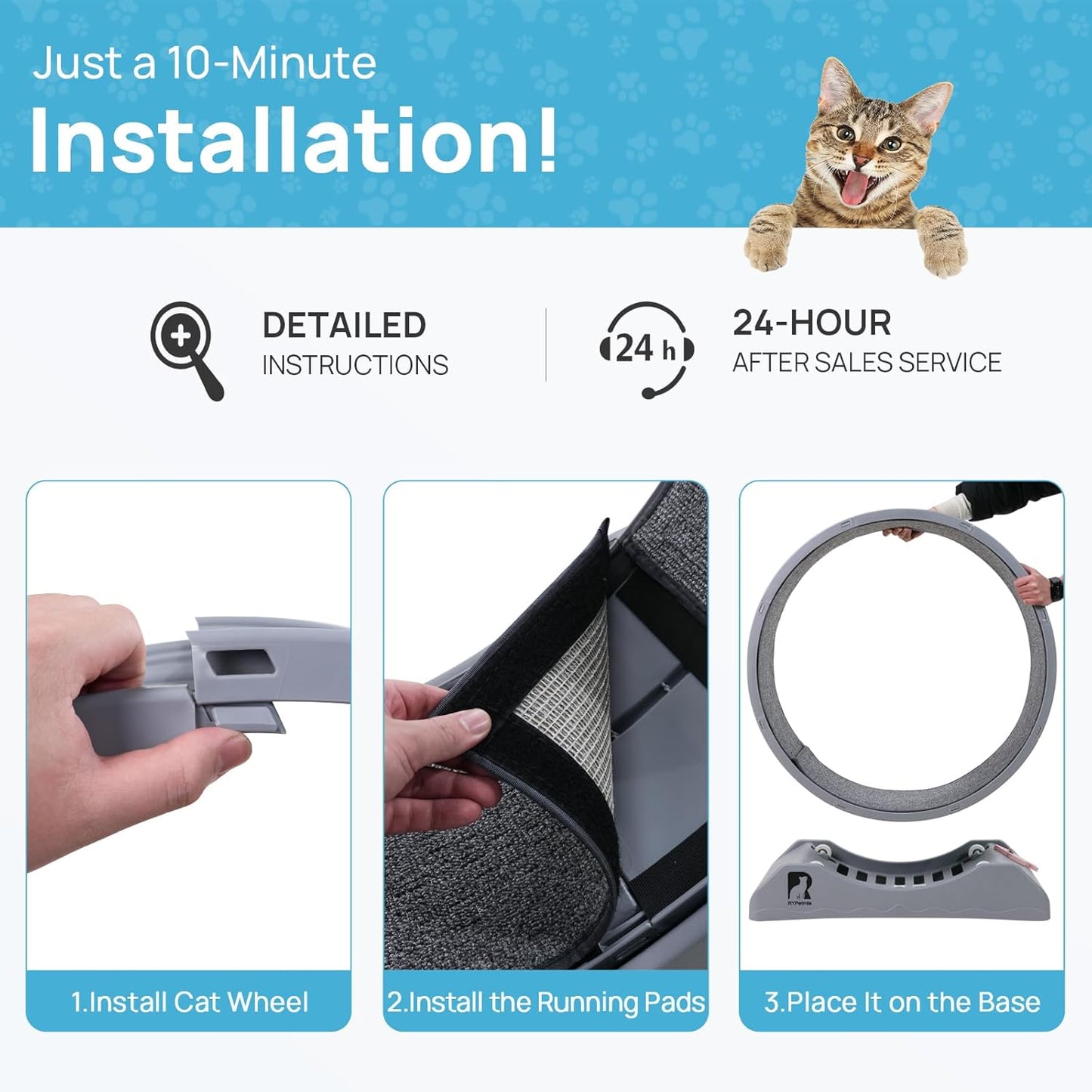 Gadvera™ Cat Treadmill – 31.5" Indoor Cat Exercise Wheel with Carpeted Runway | Fitness & Health Running Wheel for Cats