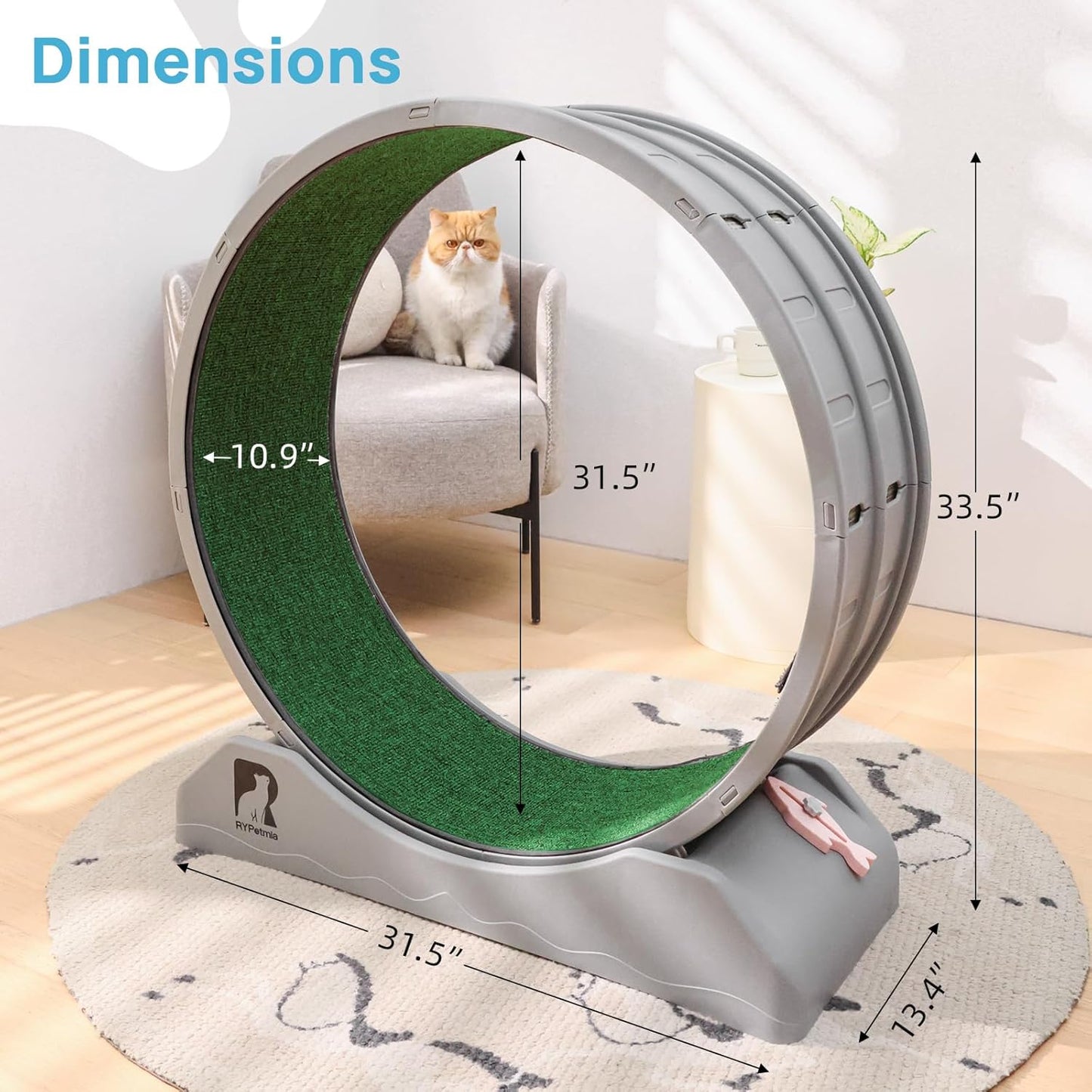 Gadvera™ Cat Treadmill – 31.5" Indoor Cat Exercise Wheel with Carpeted Runway | Fitness & Health Running Wheel for Cats