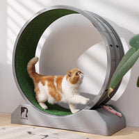 Gadvera™ Cat Treadmill – 31.5" Indoor Cat Exercise Wheel with Carpeted Runway | Fitness & Health Running Wheel for Cats