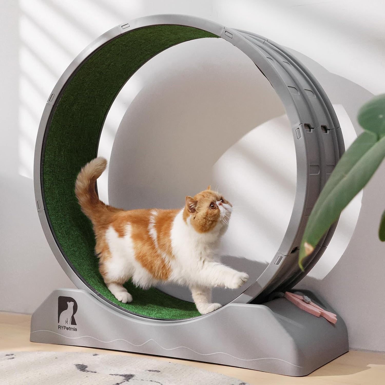 Gadvera™ Cat Treadmill – 31.5" Indoor Cat Exercise Wheel with Carpeted Runway | Fitness & Health Running Wheel for Cats