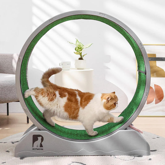 Gadvera™ Cat Treadmill – 31.5" Indoor Cat Exercise Wheel with Carpeted Runway | Fitness & Health Running Wheel for Cats