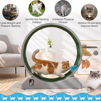 Gadvera™ Cat Treadmill – 31.5" Indoor Cat Exercise Wheel with Carpeted Runway | Fitness & Health Running Wheel for Cats