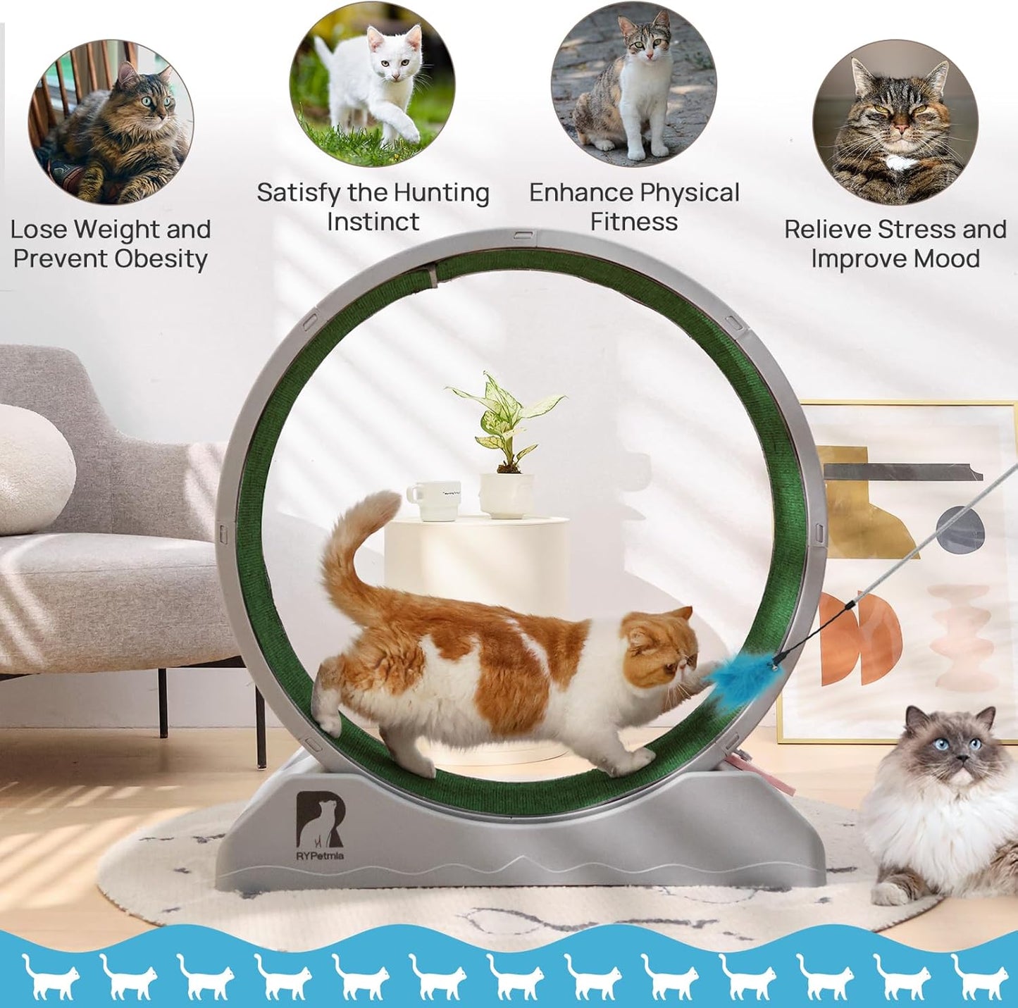 Gadvera™ Cat Treadmill – 31.5" Indoor Cat Exercise Wheel with Carpeted Runway | Fitness & Health Running Wheel for Cats