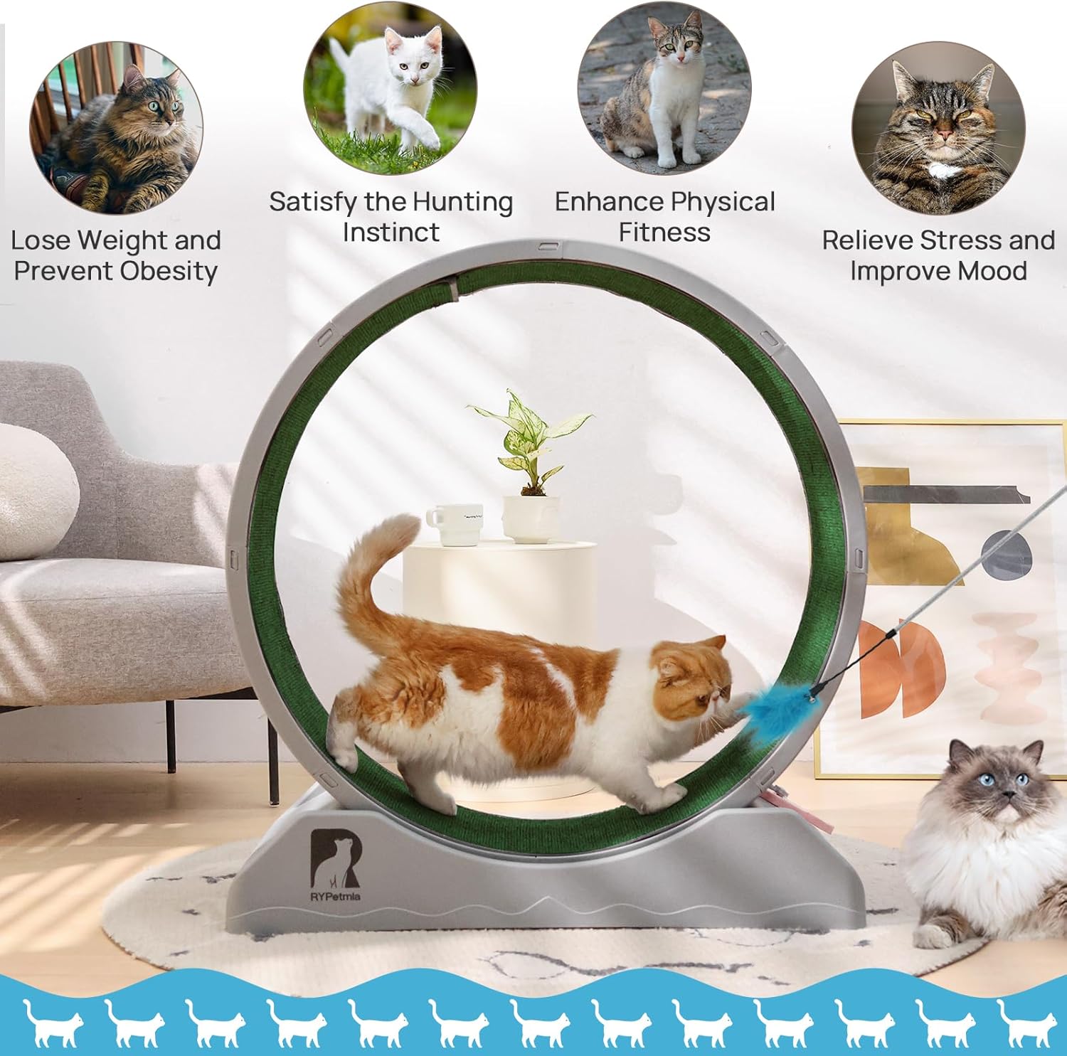 Gadvera™ Cat Treadmill – 31.5" Indoor Cat Exercise Wheel with Carpeted Runway | Fitness & Health Running Wheel for Cats