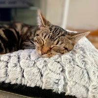 Gadvera Self-Heating Pet Pad - Electric-Free, Warm Cat & Dog Mat