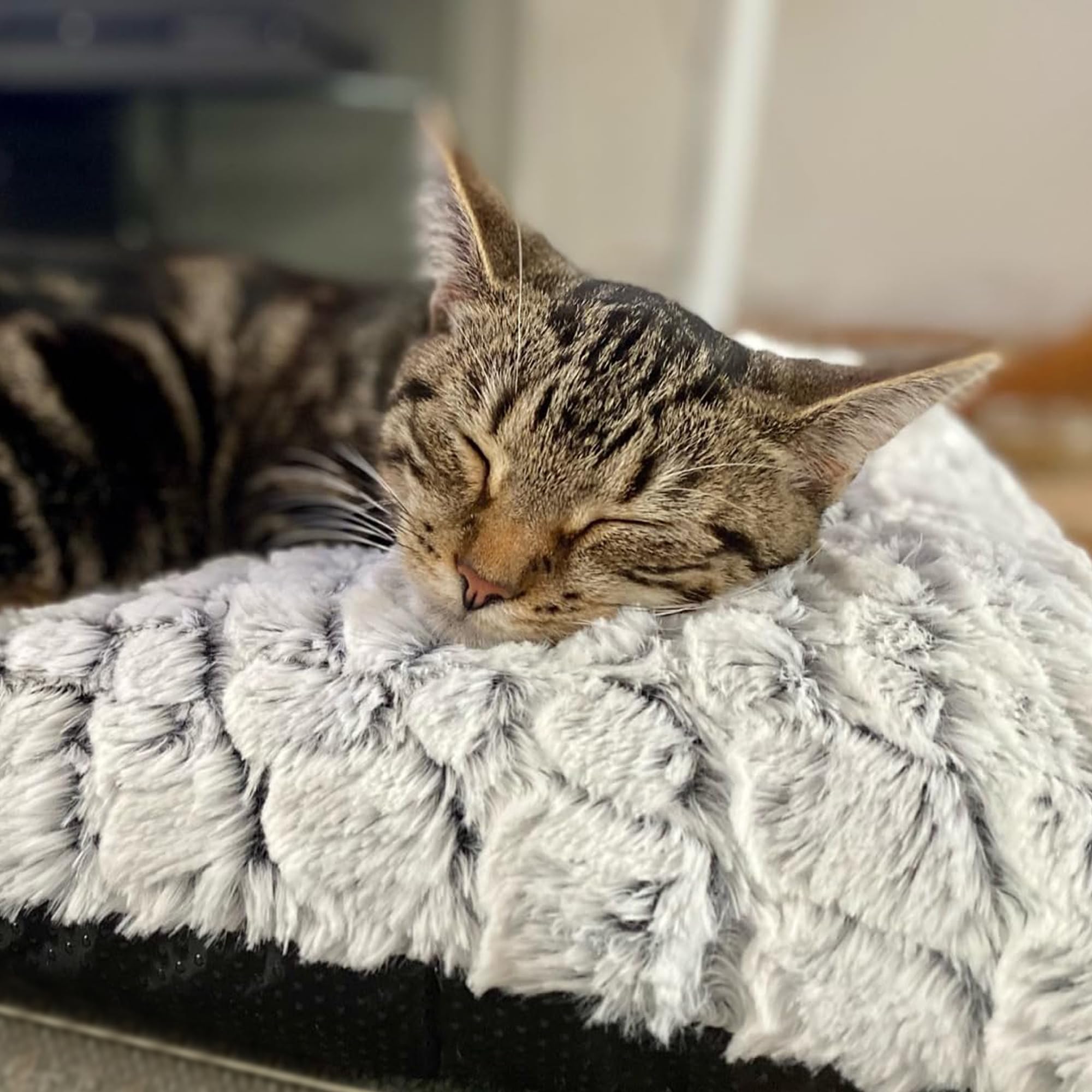 Gadvera Self-Heating Pet Pad - Electric-Free, Warm Cat & Dog Mat