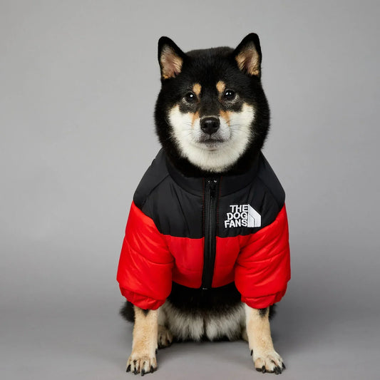 Gadvera Cozy Paws Winter Dog Jacket