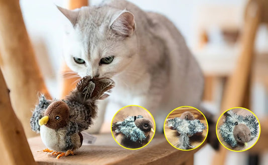 Gadvera™ Flapping Bird Cat Toy